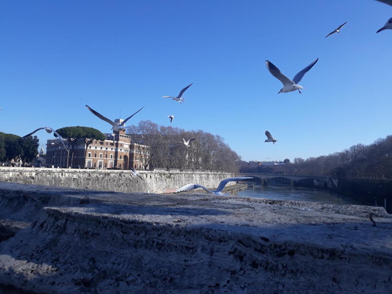 Lungotevere Collection Suite Rom Exterior foto